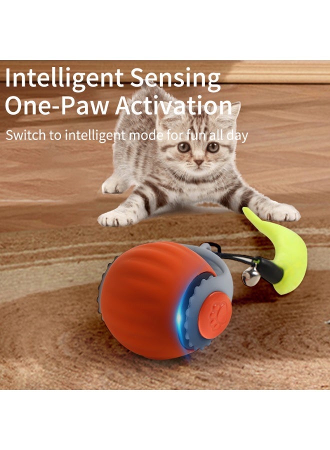 ريتش لايف لعبة كرة قطة تفاعلية، كرة ذكية تتحرك تلقائياً داخل المنزل لحل الألغاز، لعبة حيوان أليف تشحن عبر USB لطرد الملل - Image 3